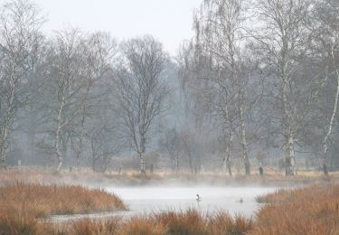 Tour Zu Fuß Henstedt-Ulzburg - Rundweg um Alsterniederung und Schlappenmoor - Photo