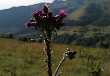 Tour Wandern Saint-François-Longchamp - st François - sentier du sapin 2020 - Photo