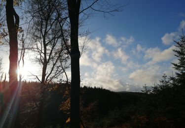 Tour Wandern Manhay - La longue chavée - Photo