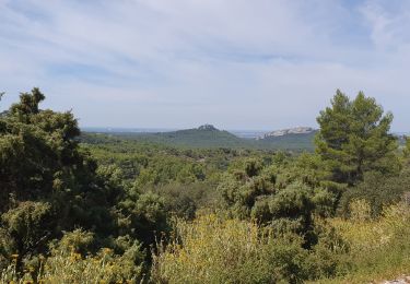 Excursión Bici eléctrica Les Baux-de-Provence - Baux Eygalières St Rémy Baux - Photo