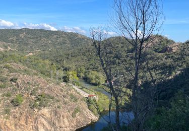 Tocht Stappen Boadella i les Escaules - Embasement Lac Darnius - Photo