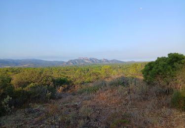 Percorso Marcia Roquebrune-sur-Argens - Lac des Requins - Photo