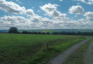 Tour Mountainbike Comblain-au-Pont - boucle hamoir ouffet comblain - Photo