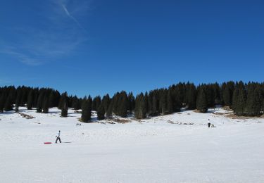 Trail On foot Roana - Monte Erio - Photo