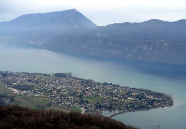 Tour Wandern Brison-Saint-Innocent - 2021-02-05-1 - Photo