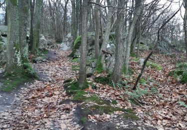 Trail Walking Ballancourt-sur-Essonne - père la musique bal asdl - Photo