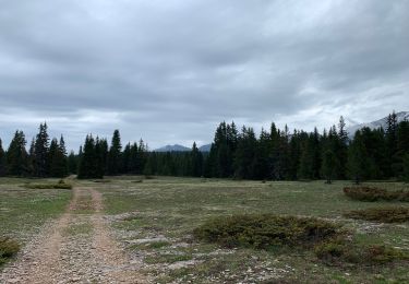 Tocht Stappen Saint-Agnan-en-Vercors - La Coche - Photo