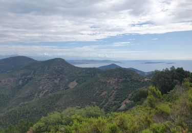 Trail Walking Saint-Raphaël - Pic de l'ours  - Photo