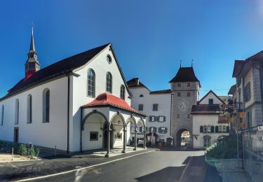 Randonnée A pied Willisau - Obere Stalde - Willisau - Photo