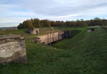 Tocht Stappen Uxegney - rando des forts - Photo
