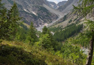 Trail Walking Vallouise-Pelvoux - Cascade de Clapouse - Photo