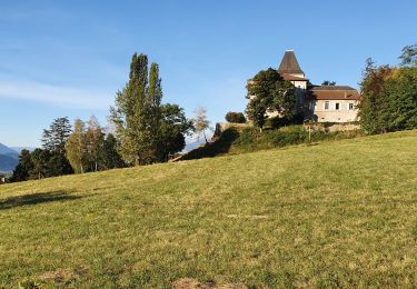 Tocht Elektrische fiets Domène - Domène Chartreuse Chateaux Eau  - Photo