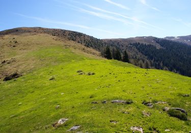 Tour Zu Fuß Feld am See - Wanderweg 187 (Possegger - Mirnock) - Photo