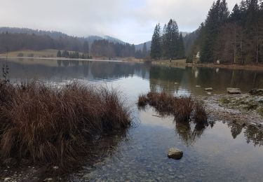 Excursión Senderismo Oyonnax - lac genin depuis le kiosque - Photo