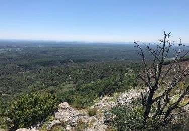 Tour Wandern Bouquet - M’ont Bouquet Seyne - Photo