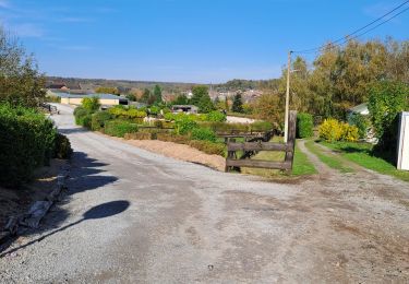 Randonnée V.T.T. Manage - VTT au départ de Bellecourt - Photo