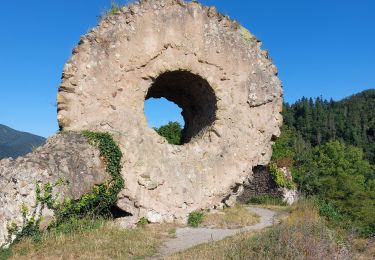 Trail Walking Thann - Entre Thann et le Molkenrain - Photo