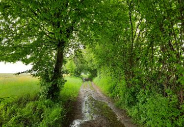 Trail Walking Anthisnes - La boucle de Tolumont - Photo