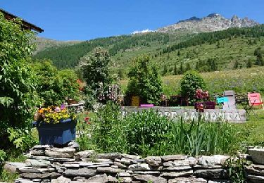 Randonnée Marche Ceillac - Queyras - Photo