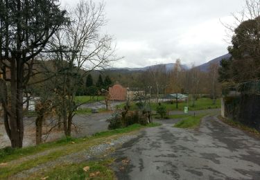 Excursión Senderismo Lestelle-Bétharram - LESTELLE BETHARRAM entre amis  