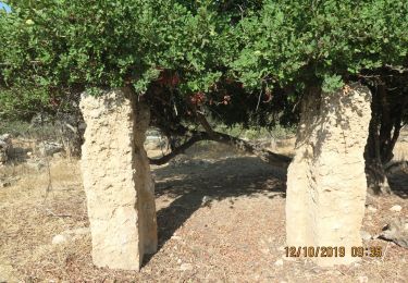 Trail On foot Bet Shemesh - Dolev Creek - Photo