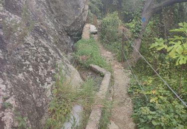 Tour Wandern Céret - 8km balcons de Ceret - Photo