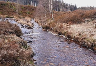 Tocht Stappen Waimes - Sourbrodt - Photo