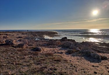 Tocht Stappen Martigues - Port de Carro - Sentier du littoral - Photo