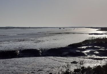 Tocht Stappen Mornac-sur-Seudre - mornac - Photo