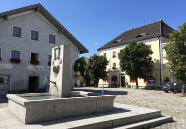 Tocht Te voet Röhrnbach - Wanderweg 6 Röhrnbach - Photo