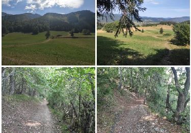 Tocht Stappen Villard-de-Lans - Villard-de-Lans Marche à pied - Photo