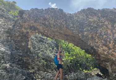 Excursión Senderismo Le Moule - Reco Salabouelle - Moule  - Photo