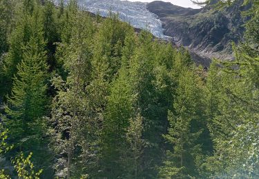 Trail Walking Chamonix-Mont-Blanc - Chamonix, cascade du dard,  glacier des boissons - Photo