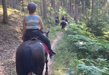 Trail Horseback riding Saint-Quirin - A la fraîche  - Photo