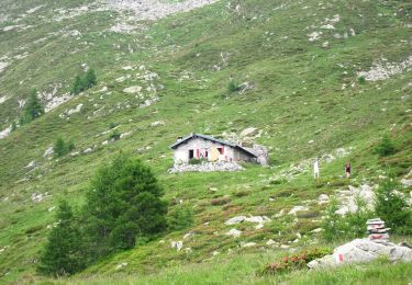 Percorso A piedi Verceia - (SI D19N) Frasnedo - Filorera - Photo