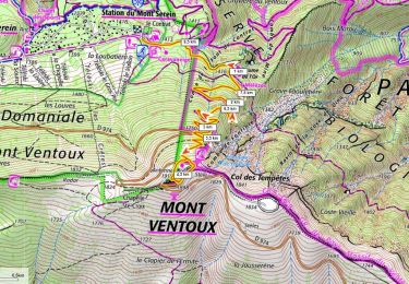 Tour Schneeschuhwandern Beaumont-du-Ventoux - Mt Ventoux 1910m 500m+ depuis la station du Mt Serein - Photo