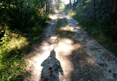 Trail Walking Mirabel-et-Blacons - Col de Pourcheton - Photo