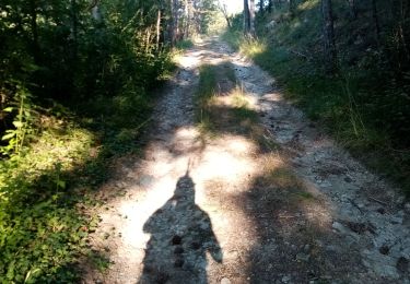 Tocht Stappen Mirabel-et-Blacons - Col de Pourcheton - Photo