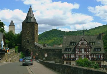 Randonnée A pied Bacharach - RheinBurgenWeg Rundtour - Stahlberg-Schleife - Photo