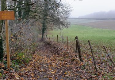 Tocht Stappen Chaumont-Gistoux - Corroy - Photo