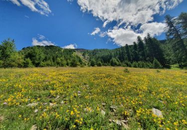 Tour Wandern Saint-Paul-sur-Ubaye - rando plan prarouart 5/07/2021 - Photo