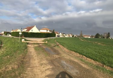 Trail Walking Santeny - Périgny Varennes Jarcy Villemeneux - Photo