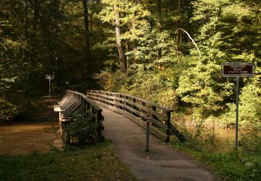 Trail On foot Hanau - Hanau - Rundwanderweg Eichhörnchen - Photo