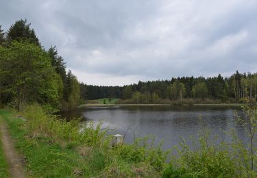 Percorso A piedi Thiersheim - Wanderweg 4 Thiersheim - Photo