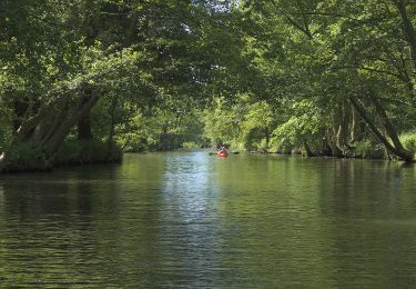 Tour Zu Fuß Schlepzig - Rundwanderweg Inselteich - Photo