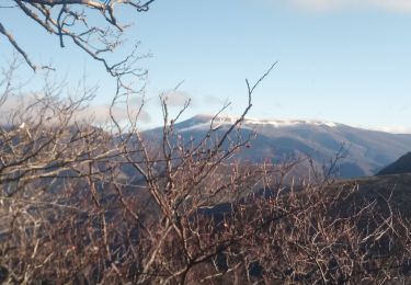 Tour Wandern Teyssières - col de Lachaud  - Photo