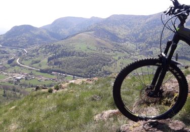 Trail Mountain bike Ramonchamp - les belvédères de la Haute vallée de la Moselle - Photo