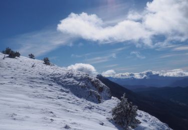 Randonnée Raquettes à neige Bouvante - Les gagères en raquettes - Photo