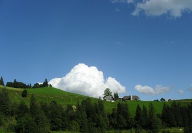 Tour Zu Fuß Sumiswald - Lüderenalp - Hohmattgäatterli - Photo