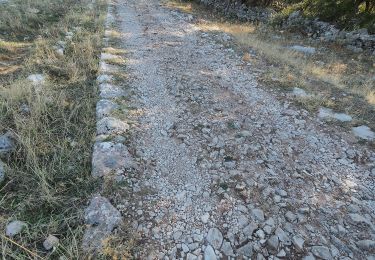 Trail On foot Grazalema - SALTO DEL CABRERO - Photo